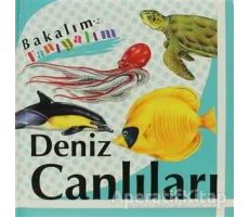 Bakalım Tanıyalım: Deniz Canlıları - Kolektif - Final Kültür Sanat Yayınları
