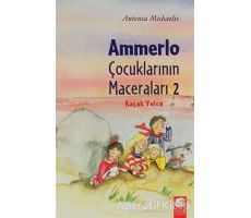 Ammerlo Çocuklarının Maceraları 2: Kaçak Yolcu - Antonia Michaelis - Final Kültür Sanat Yayınları