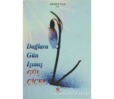 Dağlara Gün Işımış Gül Çiçek - Ahmet Tan - Can Yayınları (Ali Adil Atalay)