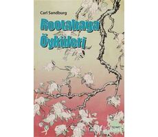 Rootabaga Öyküleri - Carl Sandburg - Dipnot Yayınları