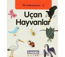 İlk Kelimelerim 5: Uçan Hayvanlar - Bilal Gezer - Çamlıca Çocuk Yayınları