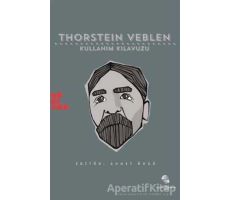 Thorstein Veblen: Kullanım Kılavuzu - Ahmet Öncü - Habitus Kitap