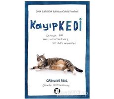 Kayıp Kedi  - Caroline Paul - Aylak Kitap