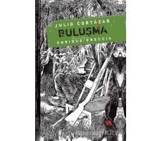 Buluşma - Julio Cortazar - Delidolu