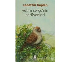Yetim Serçenin Serüvenleri - Sadettin Kaplan - Bilge Kültür Sanat