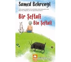 Bir Şeftali Bin Şeftali - Samed Behrengi - Eksik Parça Yayınları