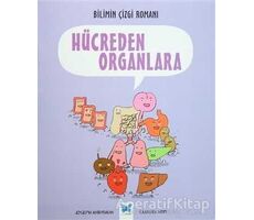 Bilimin Çizgi Romanı: Hücreden Organlara - Joseph Midthun - Mavi Kelebek Yayınları