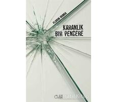 Karanlık Bir Pencere - Florin Irimia - Aylak Adam Kültür Sanat Yayıncılık