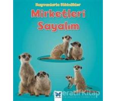 Hayvanlarla Etkinlikler - Mirketleri Sayalım - Tracey Steffora - Mavi Kelebek Yayınları