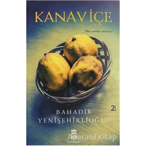 Kanaviçe - Bahadır Yenişehirlioğlu - Timaş Yayınları