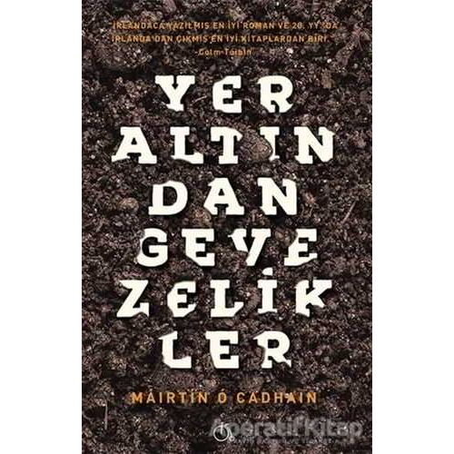 Yeraltından Gevezelikler - Mairtin O Cadhain - Aylak Adam Kültür Sanat Yayıncılık