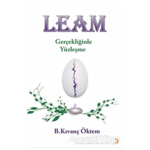 Leam - Gerçekliğinde Yüzleşme - B. Kıvanç Öktem - Cinius Yayınları