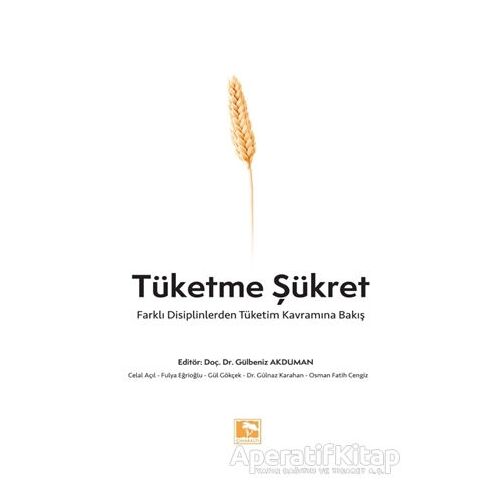 Tüketme Şükret - Gülbeniz Akduman - Çınaraltı Yayınları