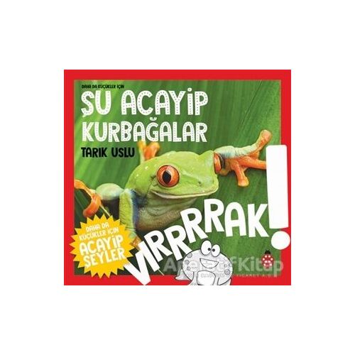 Daha da Küçükler İçin Şu Acayip Kurbağalar - Daha da Küçükler İçin Acayip Şeyler 3