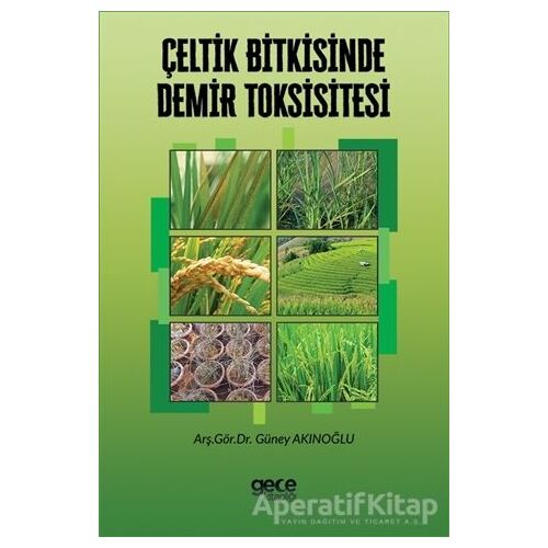 Çeltik Bitkisinde Demir Toksisitesi - Güney Akınoğlu - Gece Kitaplığı