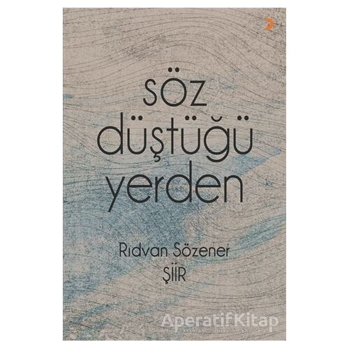 Söz Düştüğü Yerden - Rıdvan Sözener - Cinius Yayınları