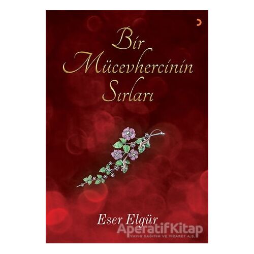 Bir Mücevhercinin Sırları - Eser Elgür - Cinius Yayınları