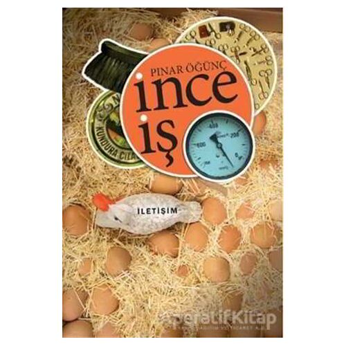 İnce İş - Pınar Öğünç - İletişim Yayınevi