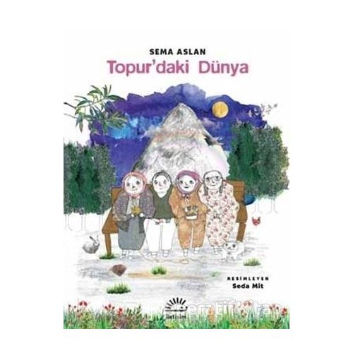 Topurdaki Dünya - Sema Aslan - İletişim Yayınevi