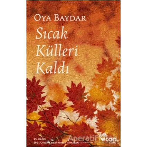 Sıcak Külleri Kaldı - Oya Baydar - Can Yayınları