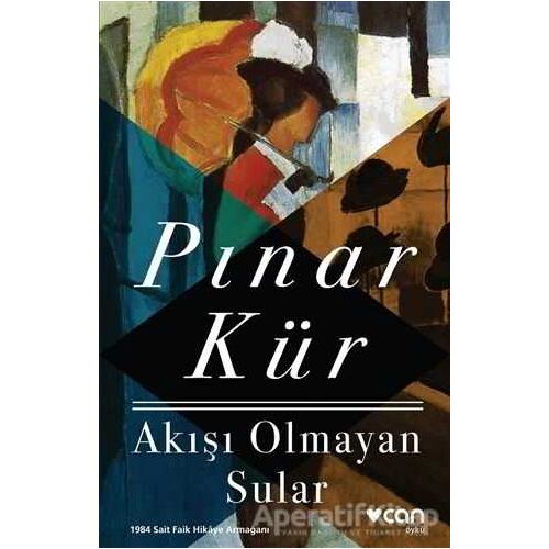 Akışı Olmayan Sular - Pınar Kür - Can Yayınları