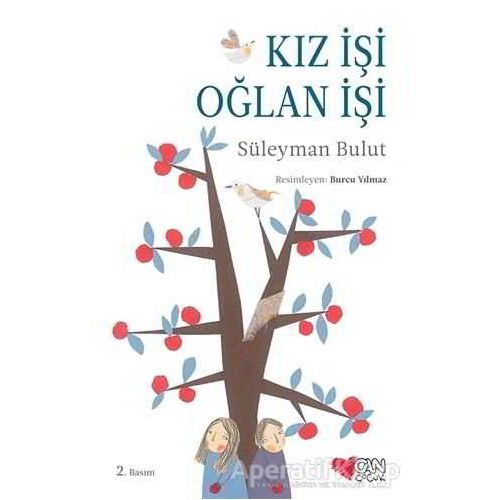 Kız İşi Oğlan İşi - Süleyman Bulut - Can Çocuk Yayınları