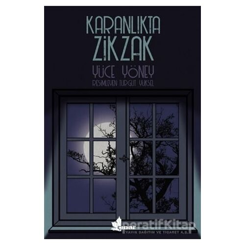 Karanlıkta Zikzak - Yüce Yöney - Çınar Yayınları