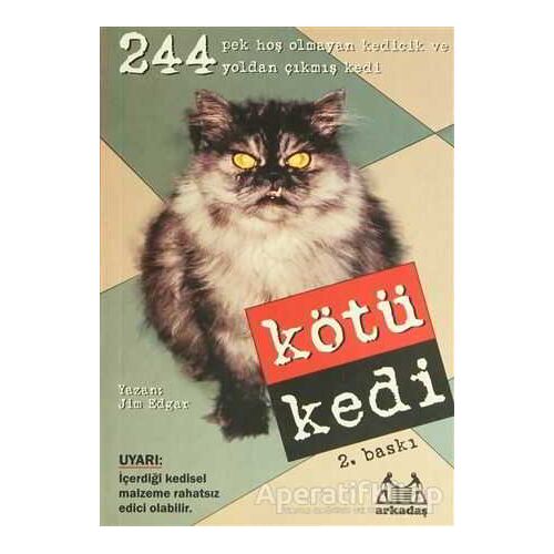 Kötü Kedi - Jim Edgar - Arkadaş Yayınları