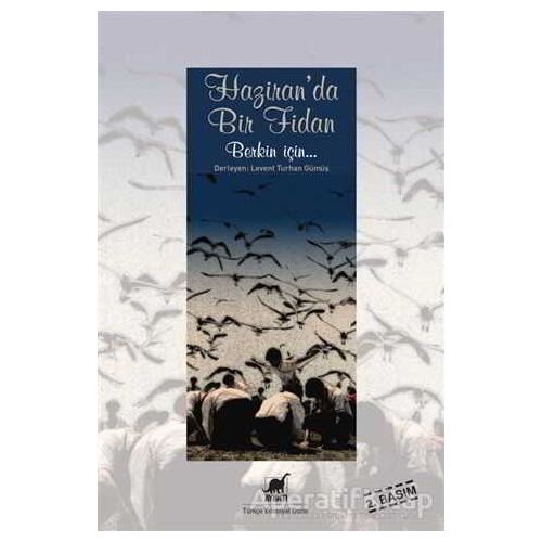 Haziranda Bir Fidan - Levent Turhan Gümüş - Ayrıntı Yayınları