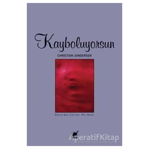 Kayboluyorsun - Christian Jungersen - Ayrıntı Yayınları