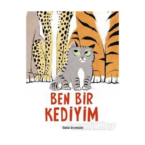 Ben Bir Kediyim - Galia Bernstein - Uçanbalık Yayıncılık