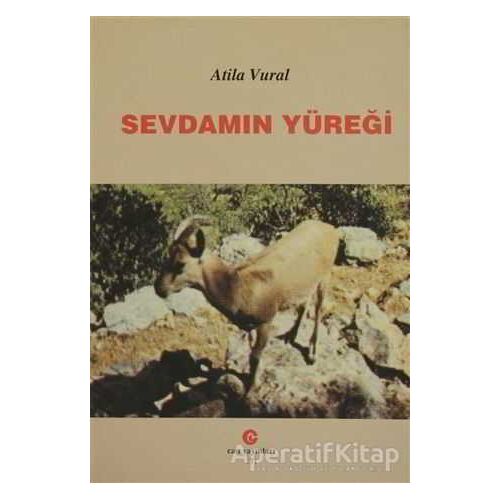 Sevdamın Yüreği - Atila Vural - Can Yayınları (Ali Adil Atalay)