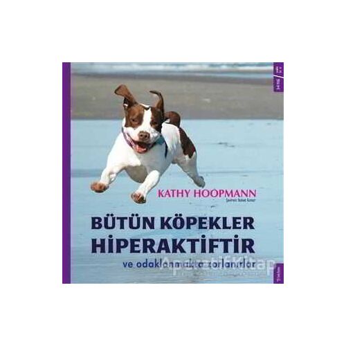 Bütün Köpekler Hiperaktiftir ve Odaklanmakta Zorlanırlar - Kathy Hoopmann - Sola Kidz