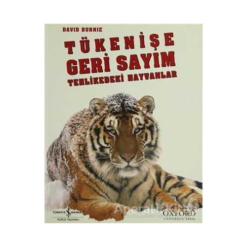 Tükenişe Geri Sayım - David Burnie - İş Bankası Kültür Yayınları