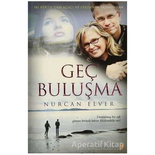 Geç Buluşma - Nurcan Elver - Cinius Yayınları