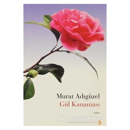 Gül Kanaması - Murat Adıgüzel - Cinius Yayınları