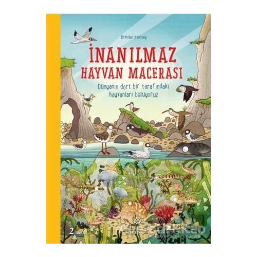 İnanılmaz Hayvan Macerası - Brendan Kearney - Hep Kitap