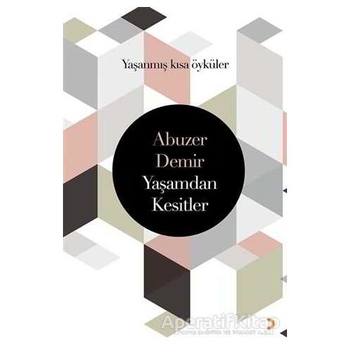 Yaşamdan Kesitler - Abuzer Demir - Cinius Yayınları