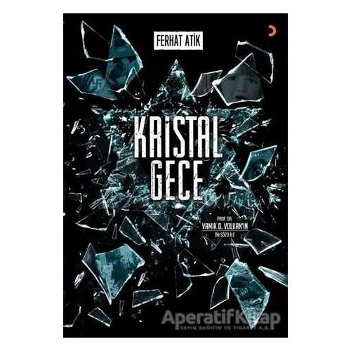 Kristal Gece - Ferhat Atik - Cinius Yayınları