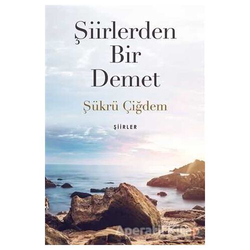 Şiirlerden Bir Demet - Şükrü Çiğdem - Cinius Yayınları