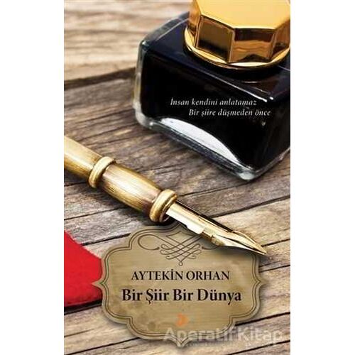 Bir Şiir Bir Dünya - Aytekin Orhan - Cinius Yayınları