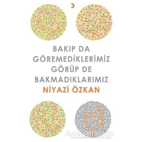 Bakıp da Göremediklerimiz Görüp de Bakmadıklarımız - Niyazi Özkan - Cinius Yayınları