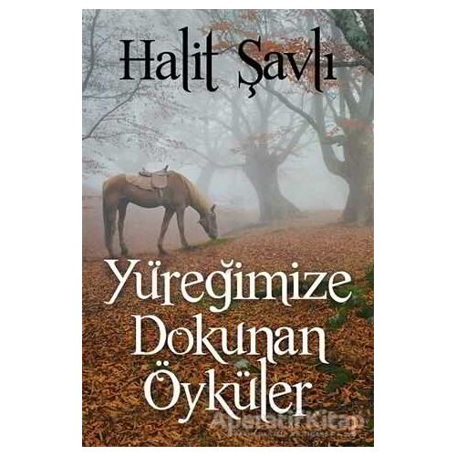 Yüreğimize Dokunan Öyküler - Halit Şavlı - Cinius Yayınları