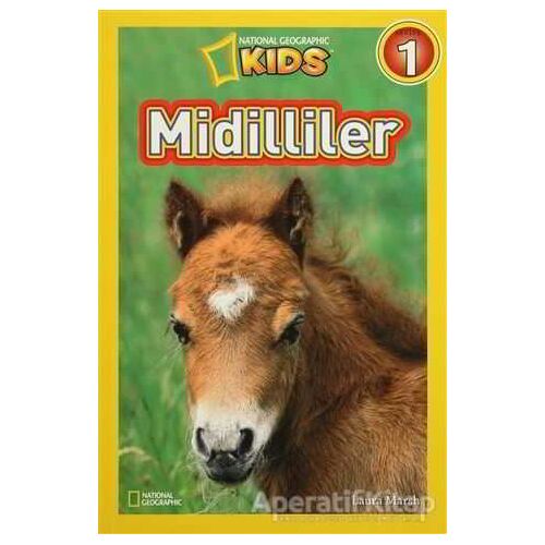 Midilliler - Laura Marsh - Beta Kids