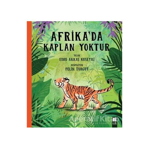 Afrikada Kaplan Yoktur - Ebru Akkaş Kuseyri - Final Kültür Sanat Yayınları