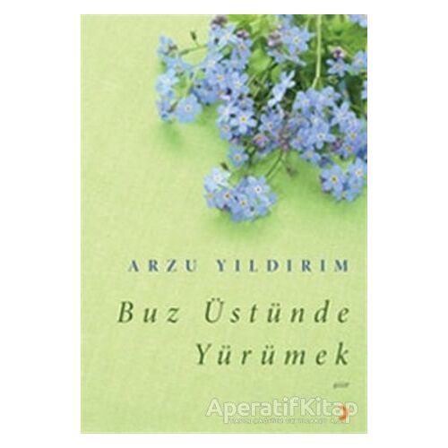 Buz Üstünde Yürümek - Arzu Yıldırım - Cinius Yayınları
