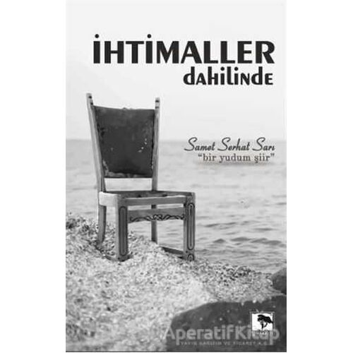 İhtimaller Dahilinde - Samet Serhat Sarı - Çınaraltı Yayınları