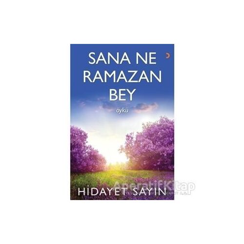 Sana Ne Ramazan Bey - Hidayet Sayın - Cinius Yayınları
