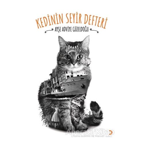 Kedinin Seyir Defteri - Ayşe Adviye Güzeldoğu - Cinius Yayınları