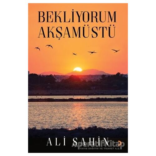 Bekliyorum Akşamüstü - Ali Şahin - Cinius Yayınları